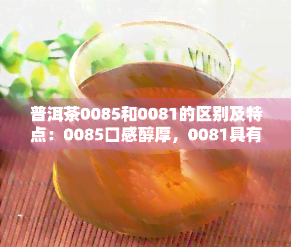 普洱茶0085和0081的区别及特点：0085口感醇厚，0081具有2016年的陈香。