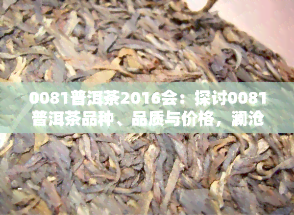 0081普洱茶2016会：探讨0081普洱茶品种、品质与价格，澜沧县0081普洱茶砖市场分析及篆刻艺术在0081普洱茶包装上的应用