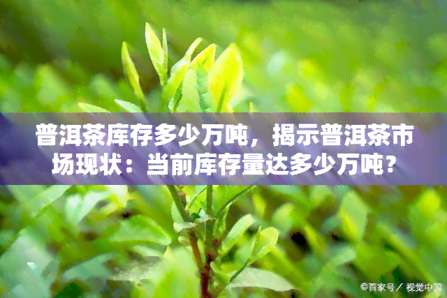 普洱茶库存多少万吨，揭示普洱茶市场现状：当前库存量达多少万吨？