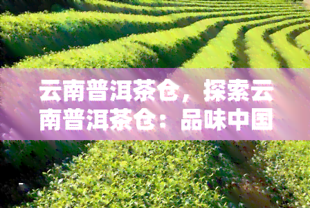 云南普洱茶仓，探索云南普洱茶仓：品味中国古老茶文化的魅力