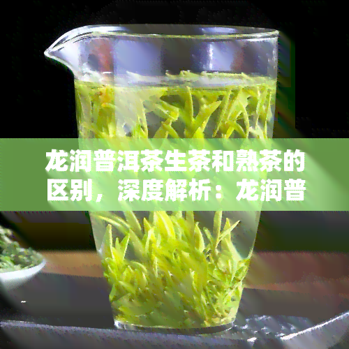 龙润普洱茶生茶和熟茶的区别，深度解析：龙润普洱茶生茶与熟茶的五大区别