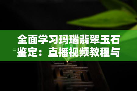 全面学习玛瑙翡翠玉石鉴定：直播视频教程与专家解析