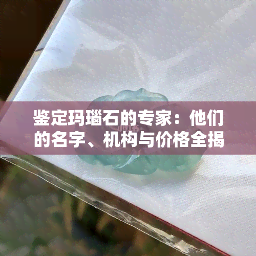 鉴定玛瑙石的专家：他们的名字、机构与价格全揭秘