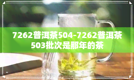 7262普洱茶504-7262普洱茶503批次是那年的茶