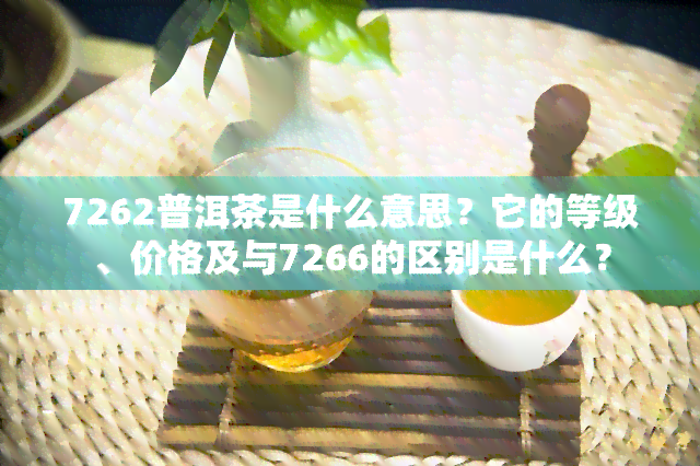 7262普洱茶是什么意思？它的等级、价格及与7266的区别是什么？