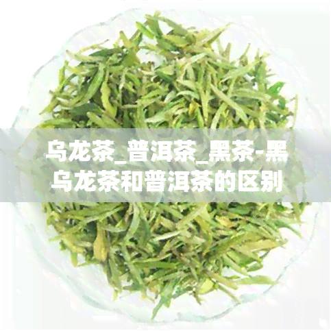 乌龙茶_普洱茶_黑茶-黑乌龙茶和普洱茶的区别