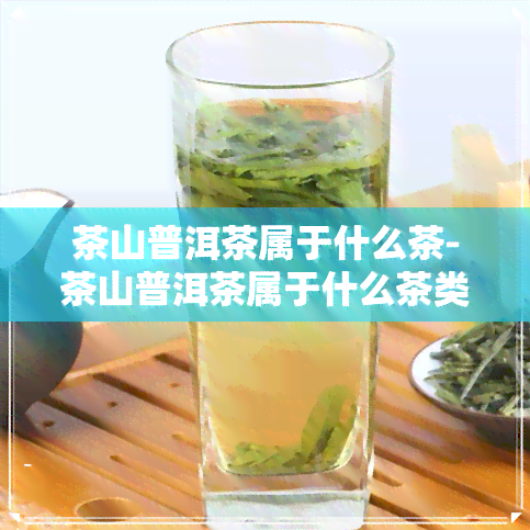 茶山普洱茶属于什么茶-茶山普洱茶属于什么茶类