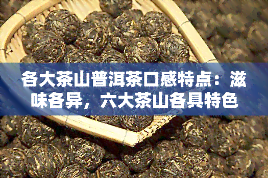 各大茶山普洱茶口感特点：滋味各异，六大茶山各具特色，代表性一览