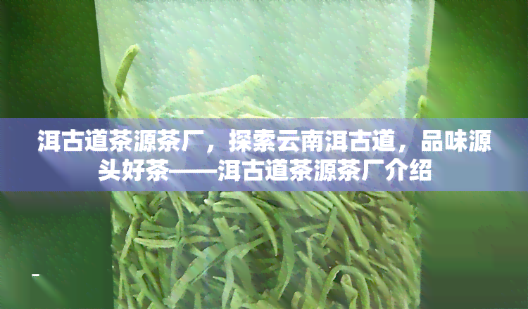 洱古道茶源茶厂，探索云南洱古道，品味源头好茶——洱古道茶源茶厂介绍