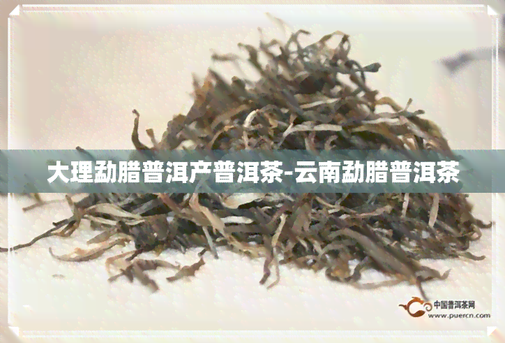 大理勐腊普洱产普洱茶-云南勐腊普洱茶