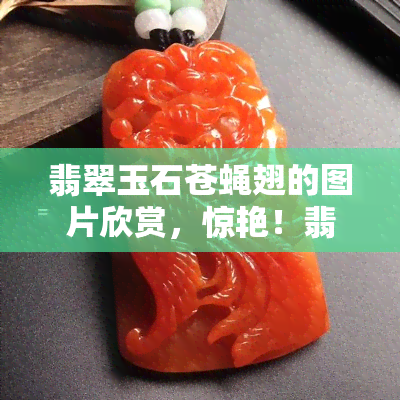 翡翠玉石苍蝇翅的图片欣赏，惊艳！翡翠玉石苍蝇翅的绝美图片欣赏