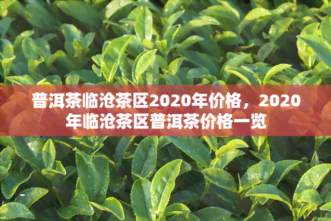 普洱茶临沧茶区2020年价格，2020年临沧茶区普洱茶价格一览