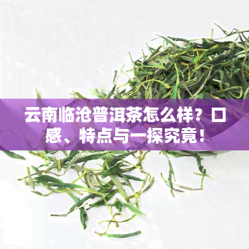 云南临沧普洱茶怎么样？口感、特点与一探究竟！