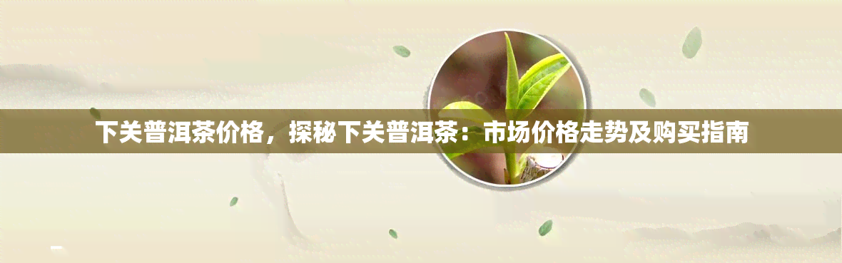 下关普洱茶价格，探秘下关普洱茶：市场价格走势及购买指南