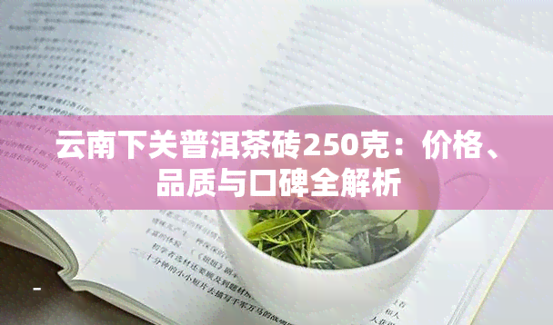 云南下关普洱茶砖250克：价格、品质与口碑全解析