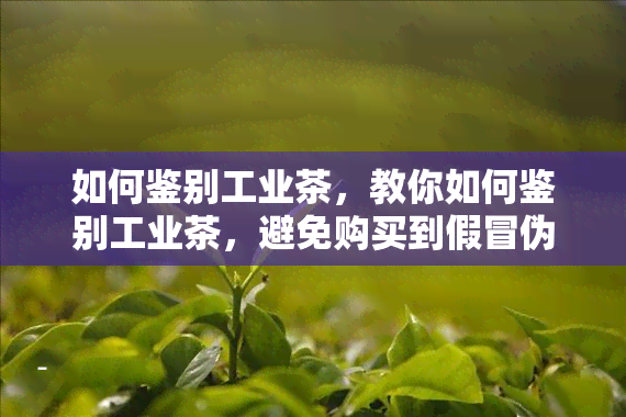 如何鉴别工业茶，教你如何鉴别工业茶，避免购买到假冒伪劣产品！