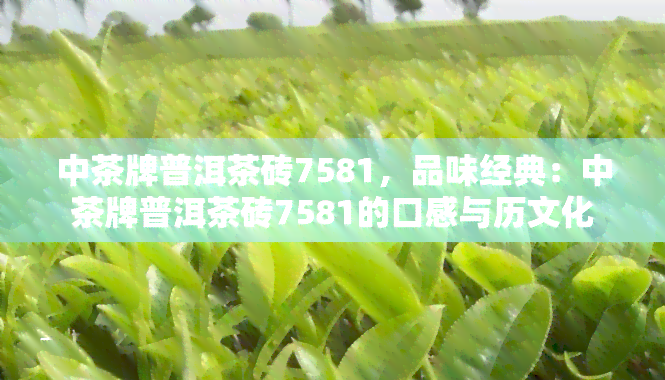 中茶牌普洱茶砖7581，品味经典：中茶牌普洱茶砖7581的口感与历文化