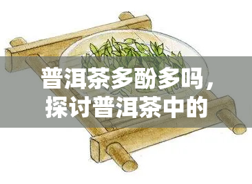 普洱茶多酚多吗，探讨普洱茶中的多酚含量是否丰富？