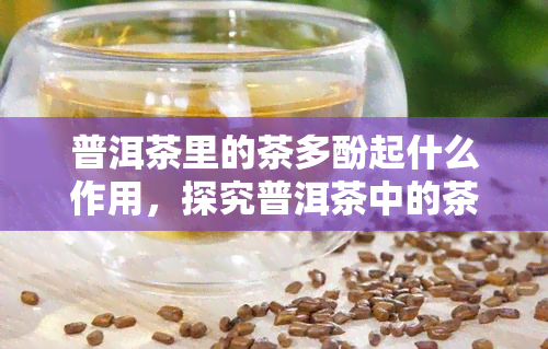 普洱茶里的茶多酚起什么作用，探究普洱茶中的茶多酚：其重要作用解析