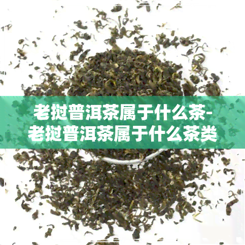 老挝普洱茶属于什么茶-老挝普洱茶属于什么茶类