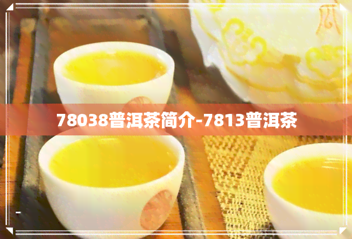 78038普洱茶简介-7813普洱茶