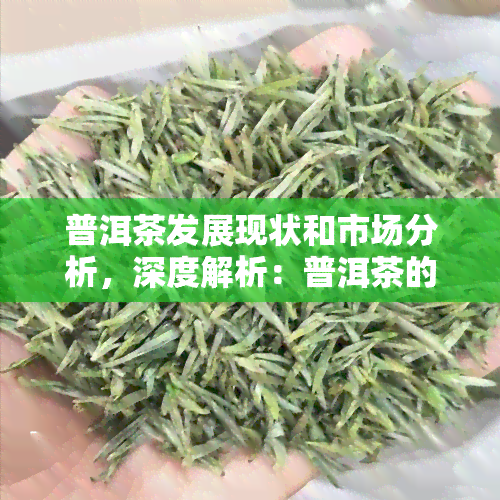 普洱茶发展现状和市场分析，深度解析：普洱茶的发展现状与市场趋势分析