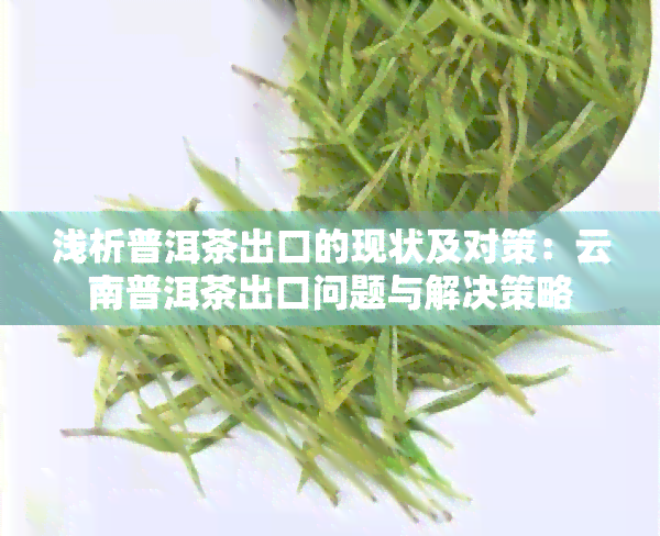 浅析普洱茶出口的现状及对策：云南普洱茶出口问题与解决策略