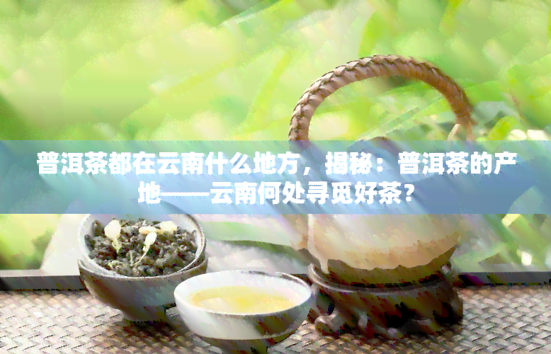 普洱茶都在云南什么地方，揭秘：普洱茶的产地——云南何处寻觅好茶？