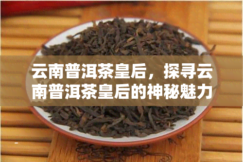 云南普洱茶皇后，探寻云南普洱茶皇后的神秘魅力