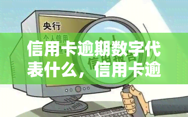 信用卡逾期数字代表什么，信用卡逾期数字的含义解析