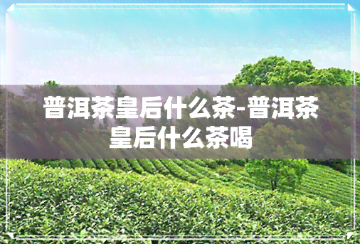 普洱茶皇后什么茶-普洱茶皇后什么茶喝