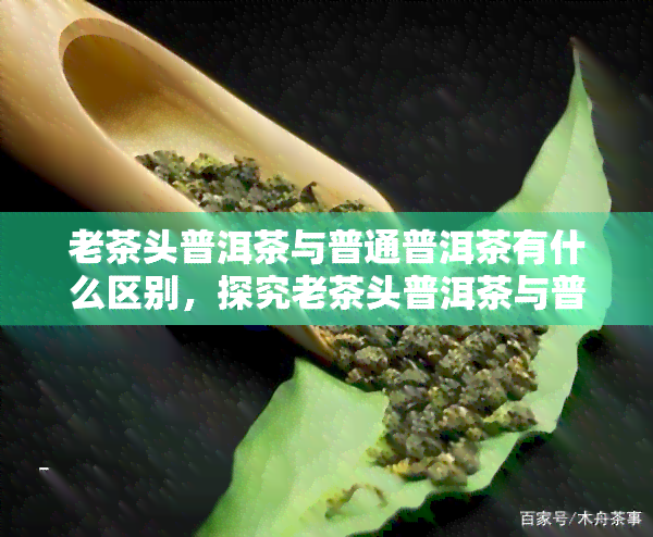 老茶头普洱茶与普通普洱茶有什么区别，探究老茶头普洱茶与普通普洱茶的差异性