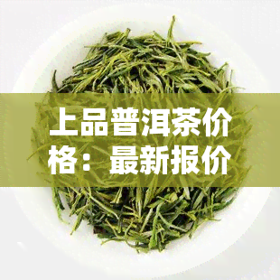 上品普洱茶价格：最新报价与查询，包括熟茶口感介绍与生态茶选择