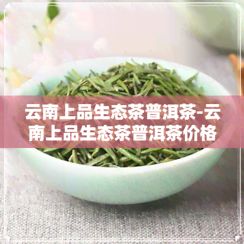 云南上品生态茶普洱茶-云南上品生态茶普洱茶价格表