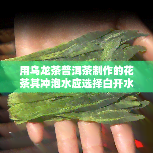 用乌龙茶普洱茶制作的花茶其冲泡水应选择白开水