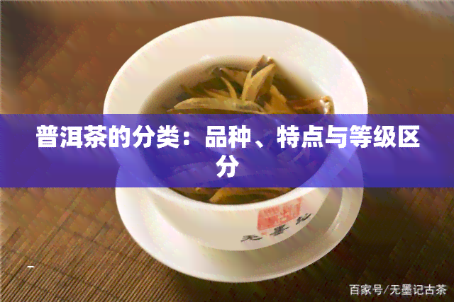 普洱茶的分类：品种、特点与等级区分