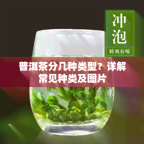 普洱茶分几种类型？详解常见种类及图片