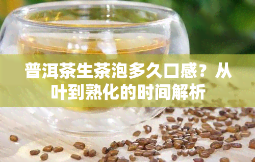 普洱茶生茶泡多久口感？从叶到熟化的时间解析