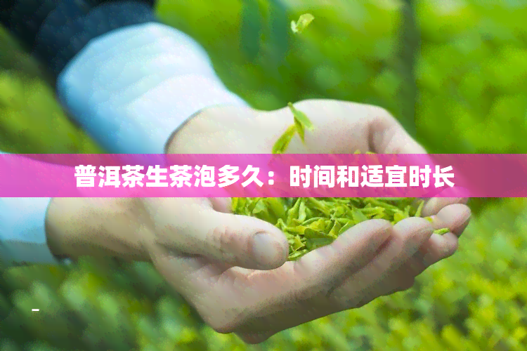 普洱茶生茶泡多久：时间和适宜时长