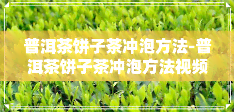 普洱茶饼子茶冲泡方法-普洱茶饼子茶冲泡方法视频