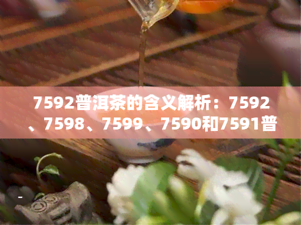 7592普洱茶的含义解析：7592、7598、7599、7590和7591普洱茶的区别与含义