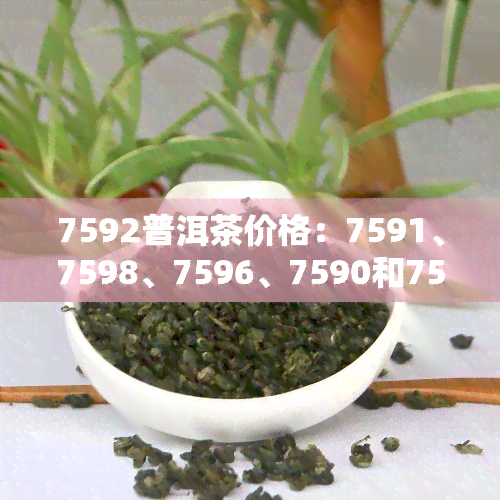 7592普洱茶价格：7591、7598、7596、7590和7592的价格比较与分析