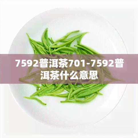 7592普洱茶701-7592普洱茶什么意思