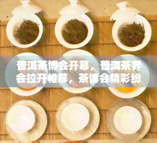 普洱茶博会开幕，普洱茶界会拉开帷幕，茶博会精彩纷呈