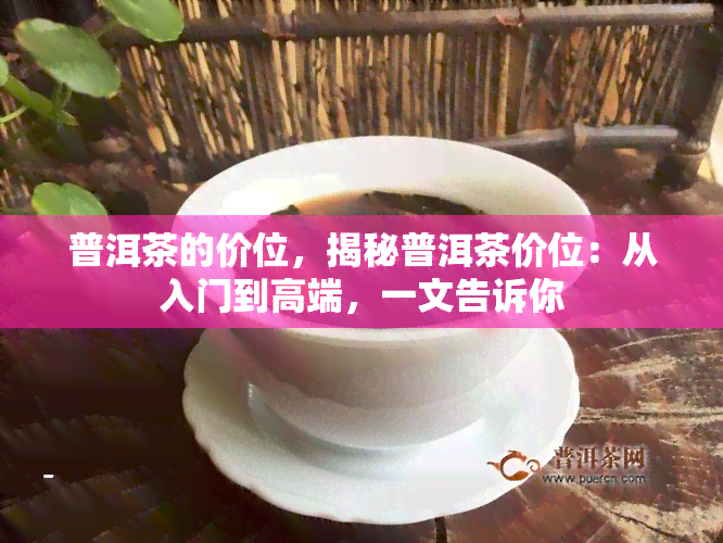 普洱茶的价位，揭秘普洱茶价位：从入门到高端，一文告诉你