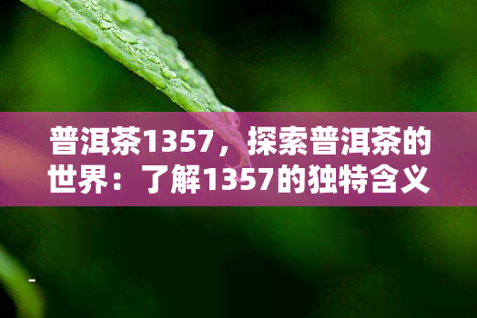 普洱茶1357，探索普洱茶的世界：了解1357的独特含义与品尝技巧