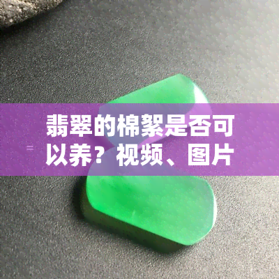 翡翠的棉絮是否可以养？视频、图片解答，无吗？能养掉吗？包括水线，详细解析