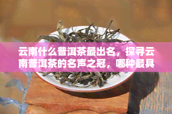 云南什么普洱茶最出名，探寻云南普洱茶的名声之冠，哪种更具代表性？