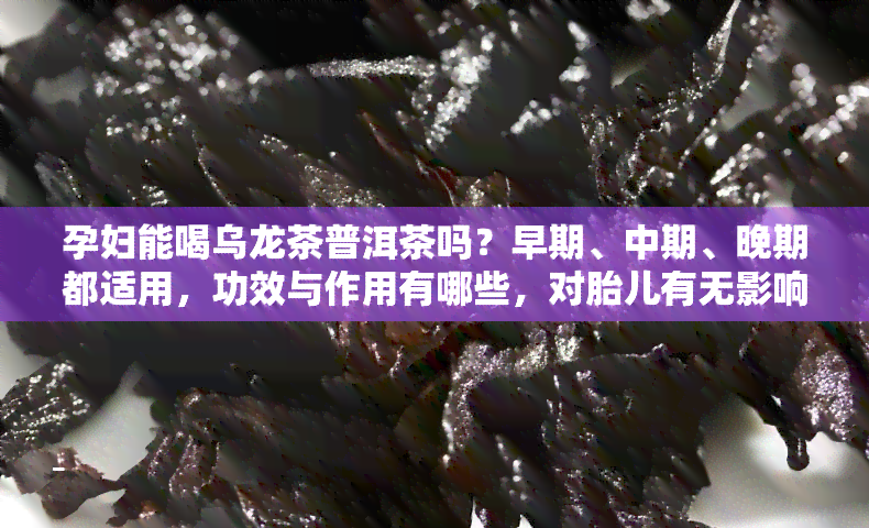 孕妇能喝乌龙茶普洱茶吗？早期、中期、晚期都适用，功效与作用有哪些，对胎儿有无影响？