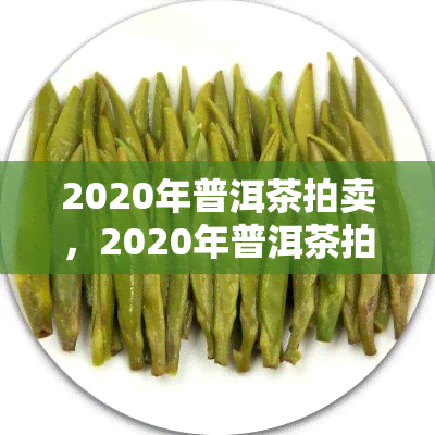 2020年普洱茶拍卖，2020年普洱茶拍卖：一场味蕾的宴